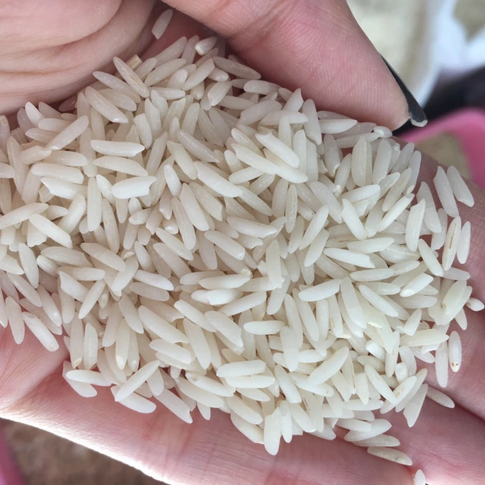 برنج هاشمی حسن سرا گیلان
