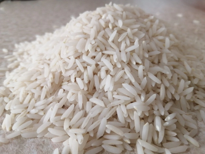 خرید عمده برنج شیرودی