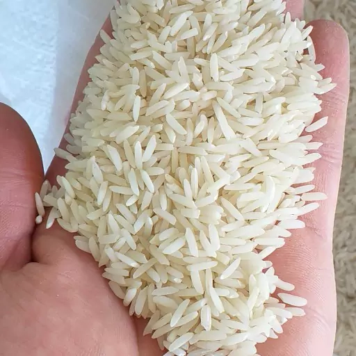 قیمت عمده برنج آستانه اشرفیه