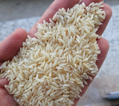 برنج دودی دم سیاه شمال