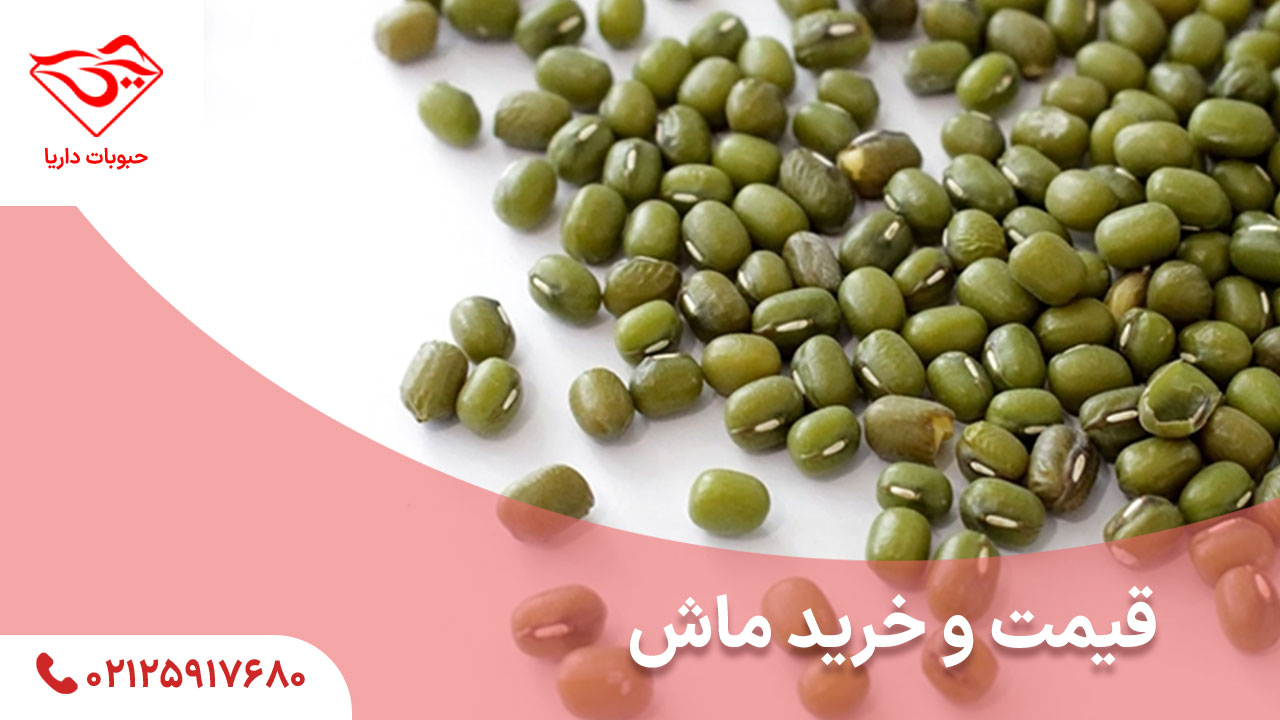 قیمت و خرید ماش