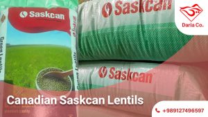 Import of Canadian Saskcan Lentils