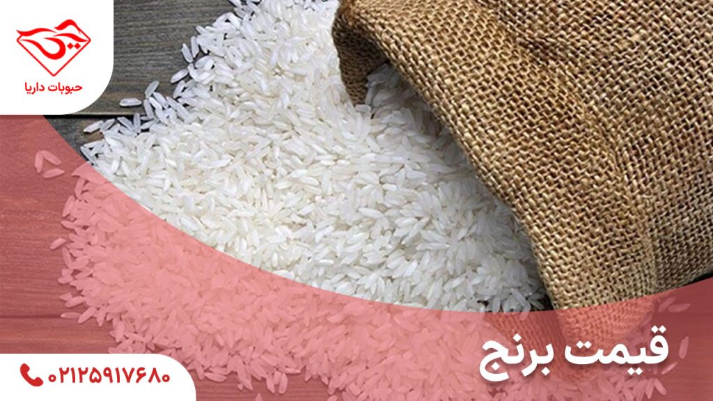 قیمت برنج