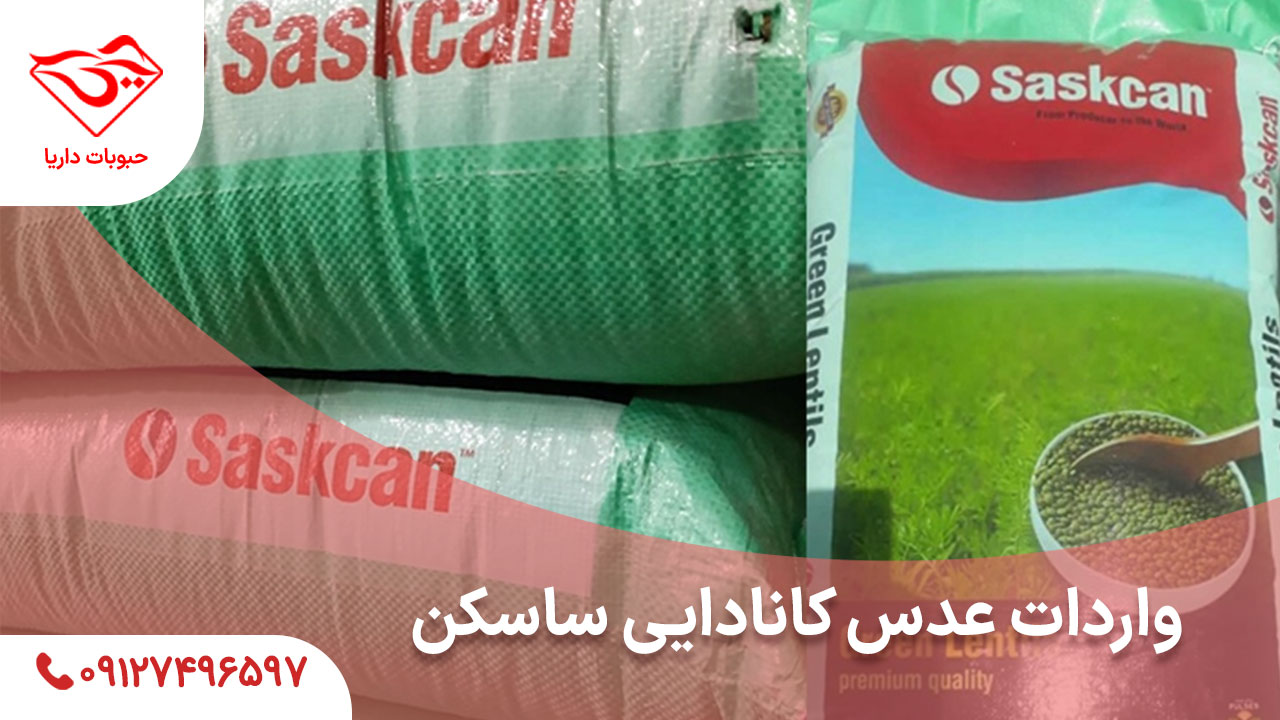 واردات عدس کانادایی ساسکن