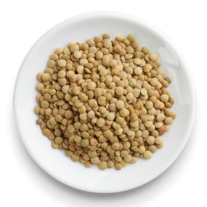 قیمت و خرید عدس روس تازه به صورت عمده(فله) امروز