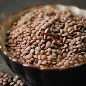 عدس سنگی