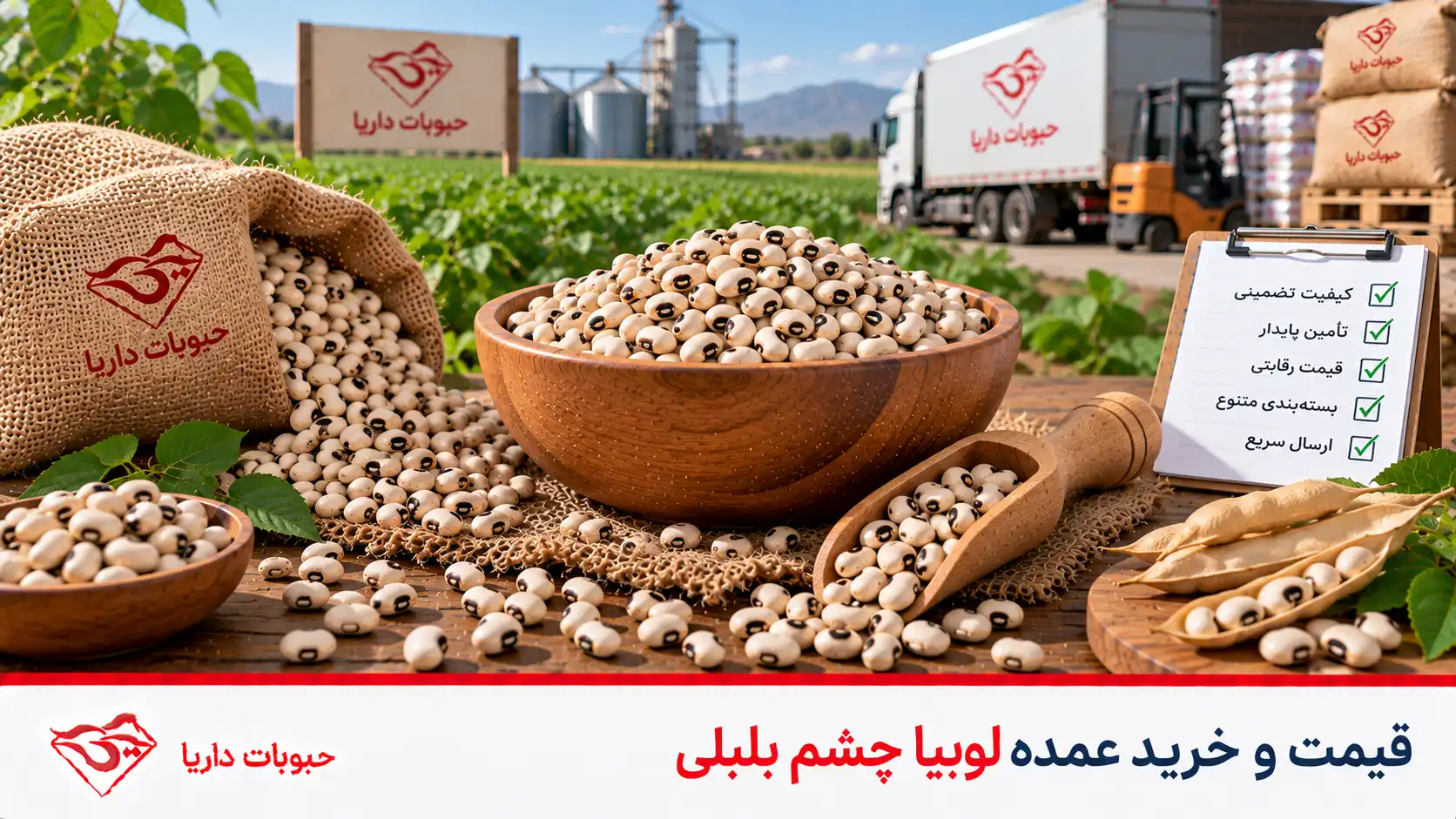 قیمت و خرید عمده لوبیا چشم‌بلبلی