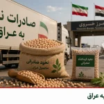 صادرات نخود به عراق
