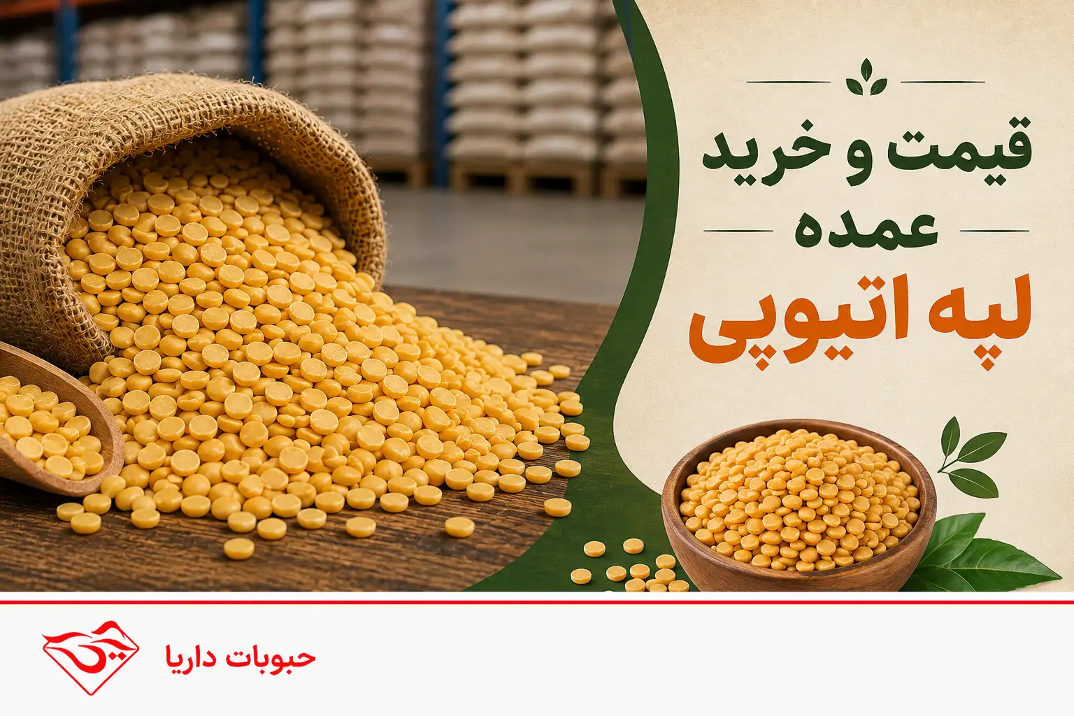 قیمت لپه اتیوپی در خرید عمده