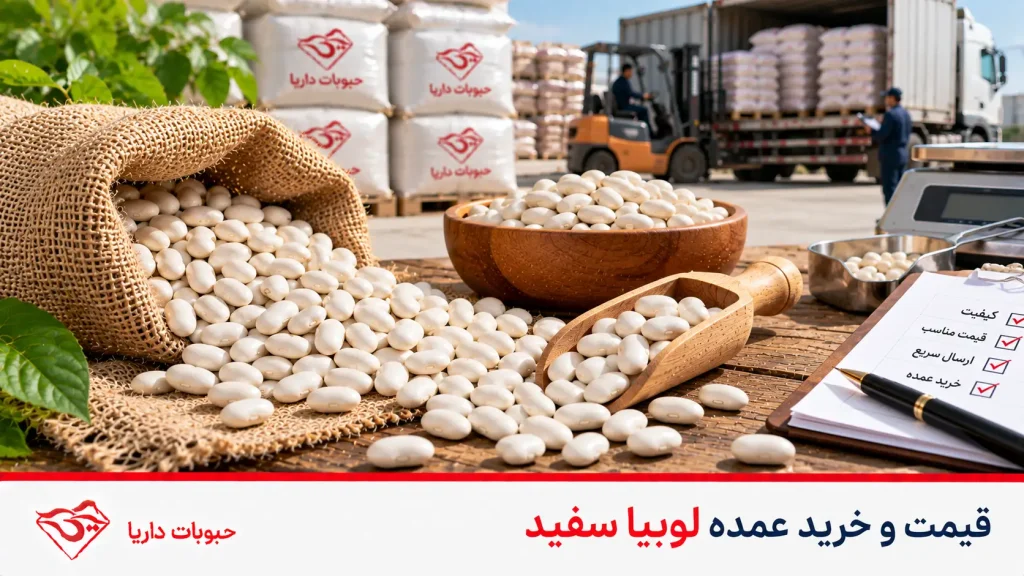 قیمت و خرید عمده لوبیا سفید
