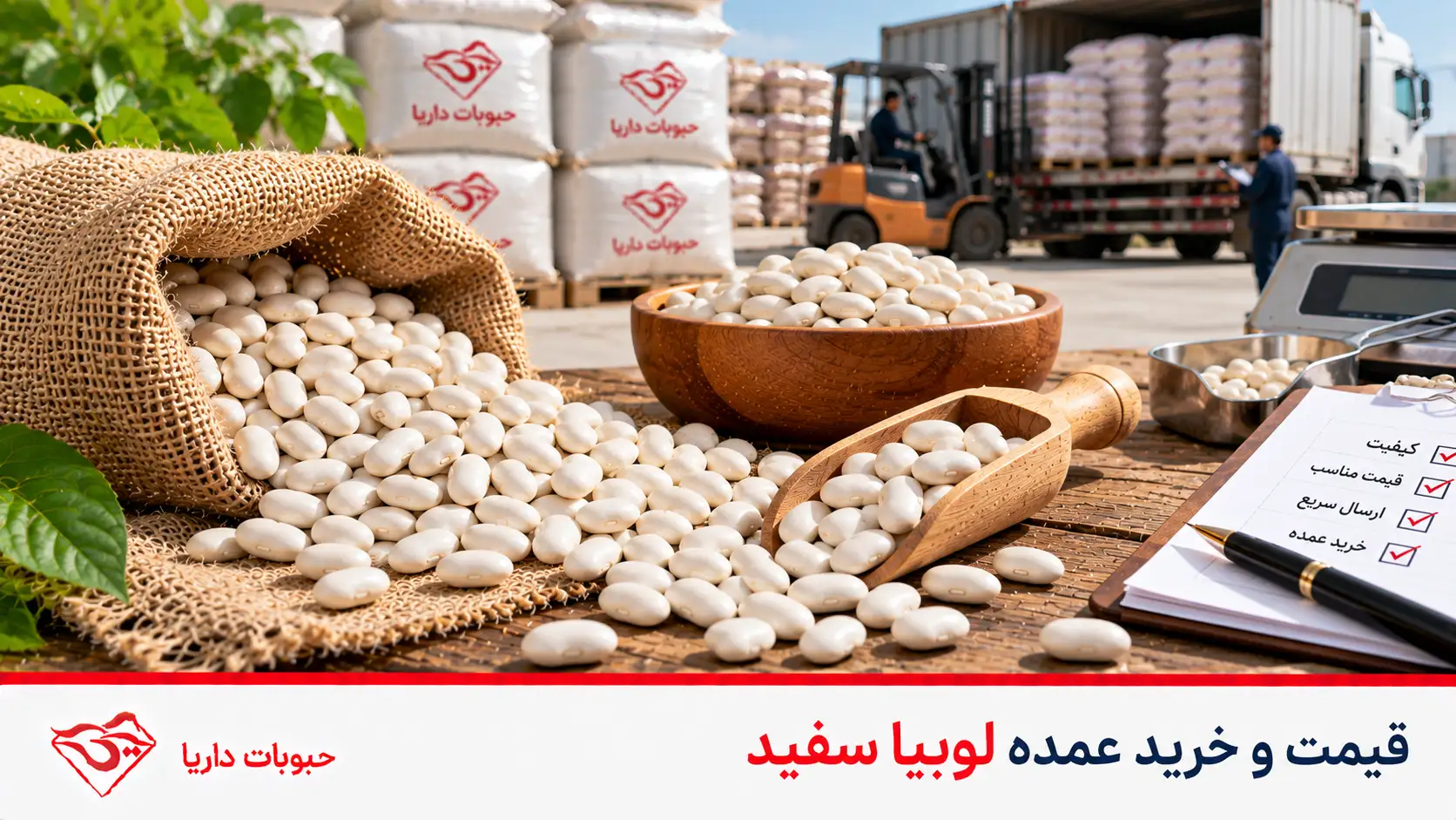 قیمت و خرید عمده لوبیا سفید
