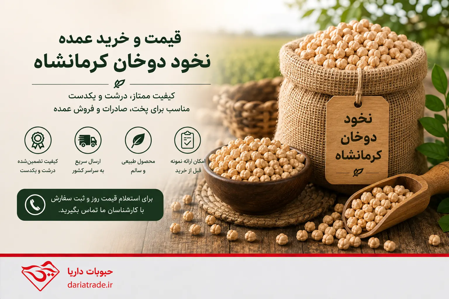 قیمت نخود دوخان کرمانشاه و خرید عمده