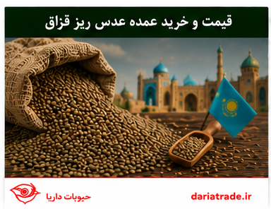 قیمت و خرید عمده عدس ریز قزاق