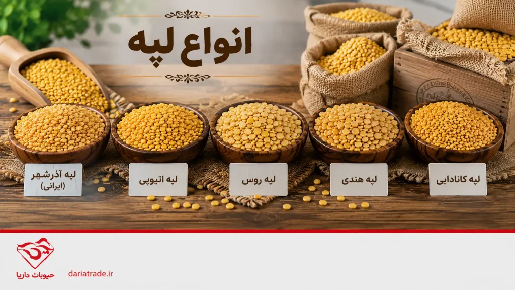 انواع لپه در بازار ایران