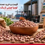 قیمت و خرید عمده لوبیا چشم‌بلبلی ازبک