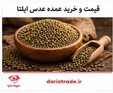 قیمت عدس ایلتا عمده