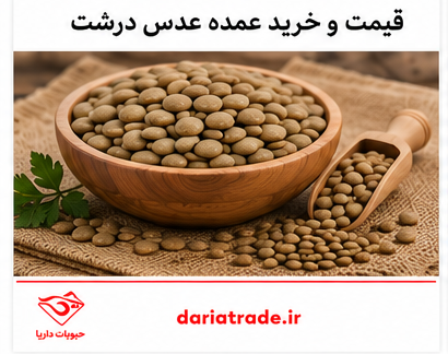خرید و قیمت عدس درشت