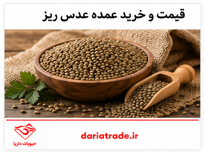 قیمت عدس ریز