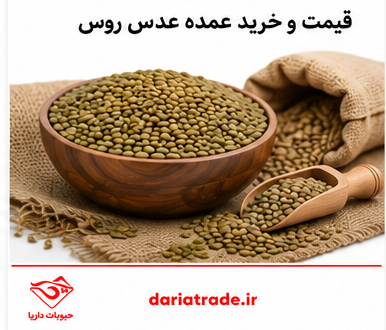 قیمت عدس روس