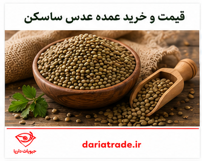 قیمت عدس ساسکن کانادایی