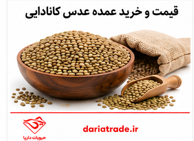قیمت عدس کانادایی