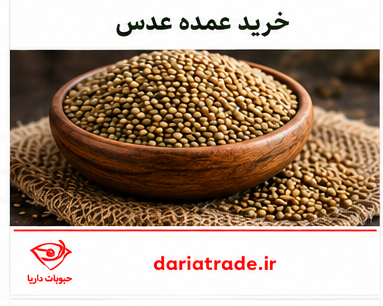 قیمت عدس عمده