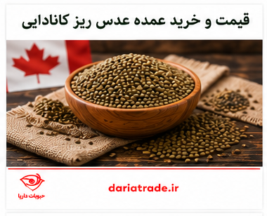 قیمت و خرید عدس ریز کانادایی