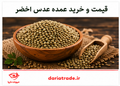 قیمت عدس اخضر کانادایی