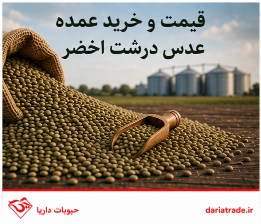 قیمت وخرید عمده عدس درشت اخضر