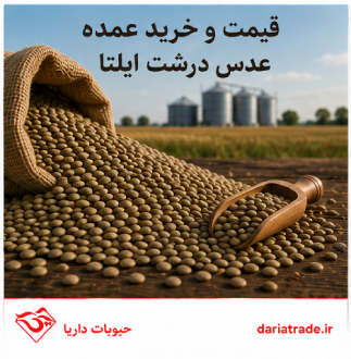 قیمت و خرید عمده عدس درشت ایلتا