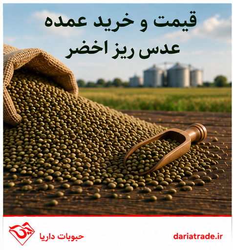 قیمت و خرید عمده عدس ریز اخضر