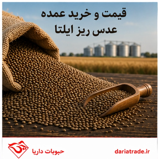 قیمت و خرید عمده عدس ریز ایلتا