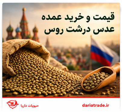قیمت عدس درشت روس
