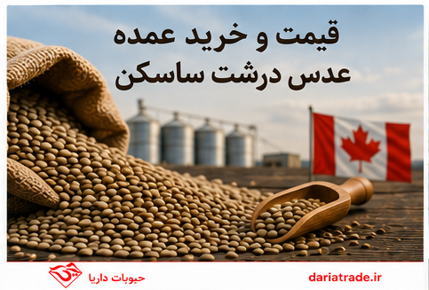 قیمت عدس درشت اسکن