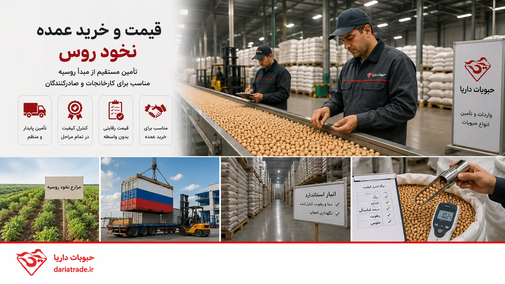 قیمت نخود روس و خرید عمده
