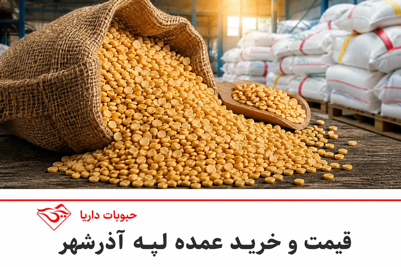 قیمت لپه آذرشهر و خرید عمده