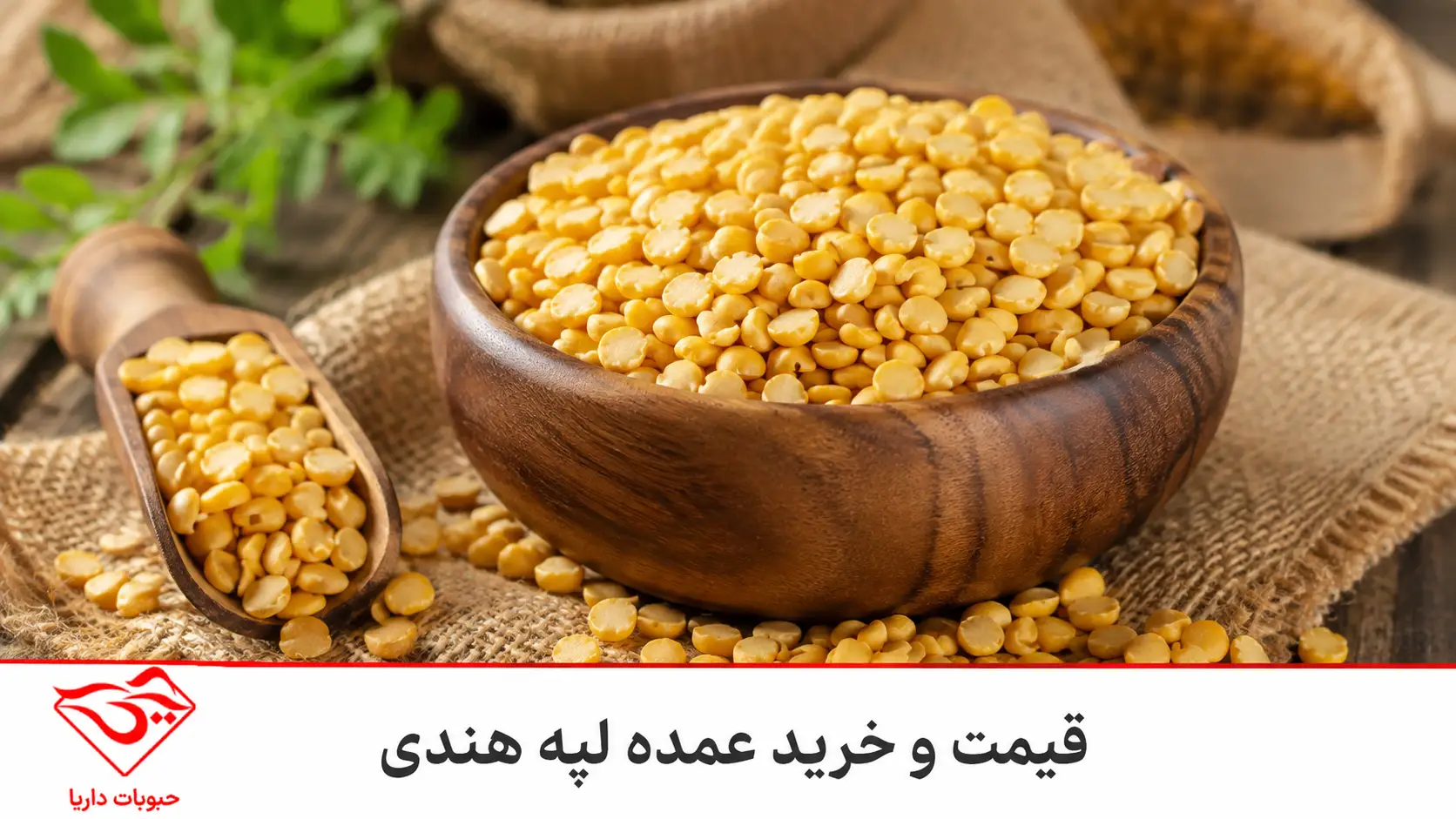 قیمت لپه هندی خرید عمده