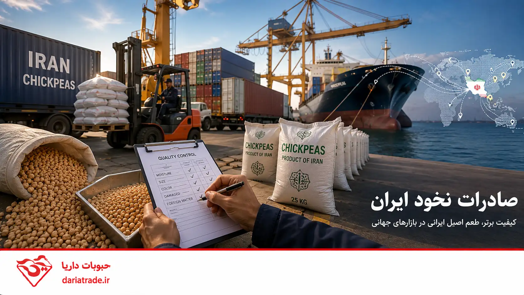 صادرات نخود ایران