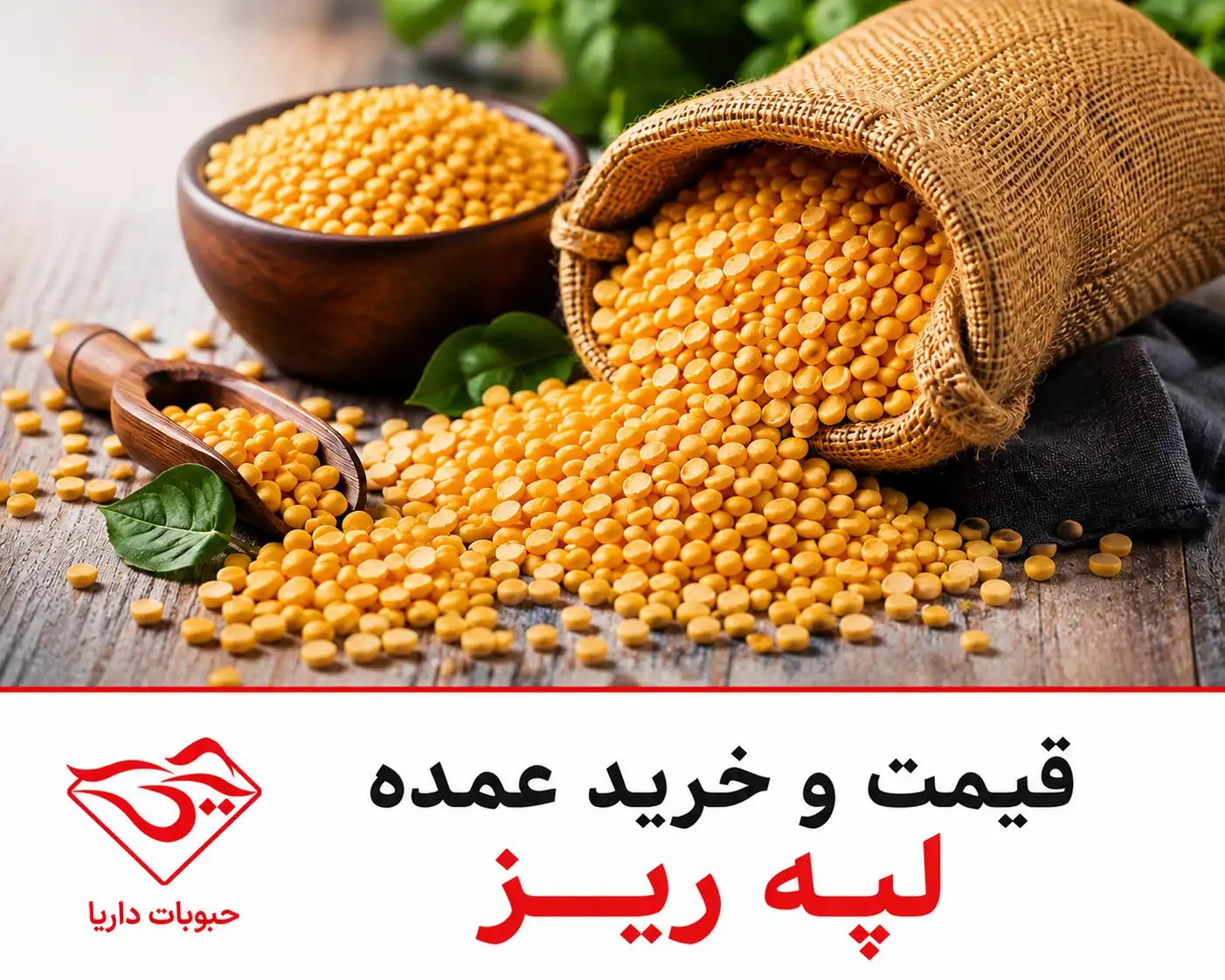قیمت لپه ریز در خرید عمده
