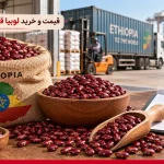 قیمت و خرید عمده لوبیا قرمز اتیوپی