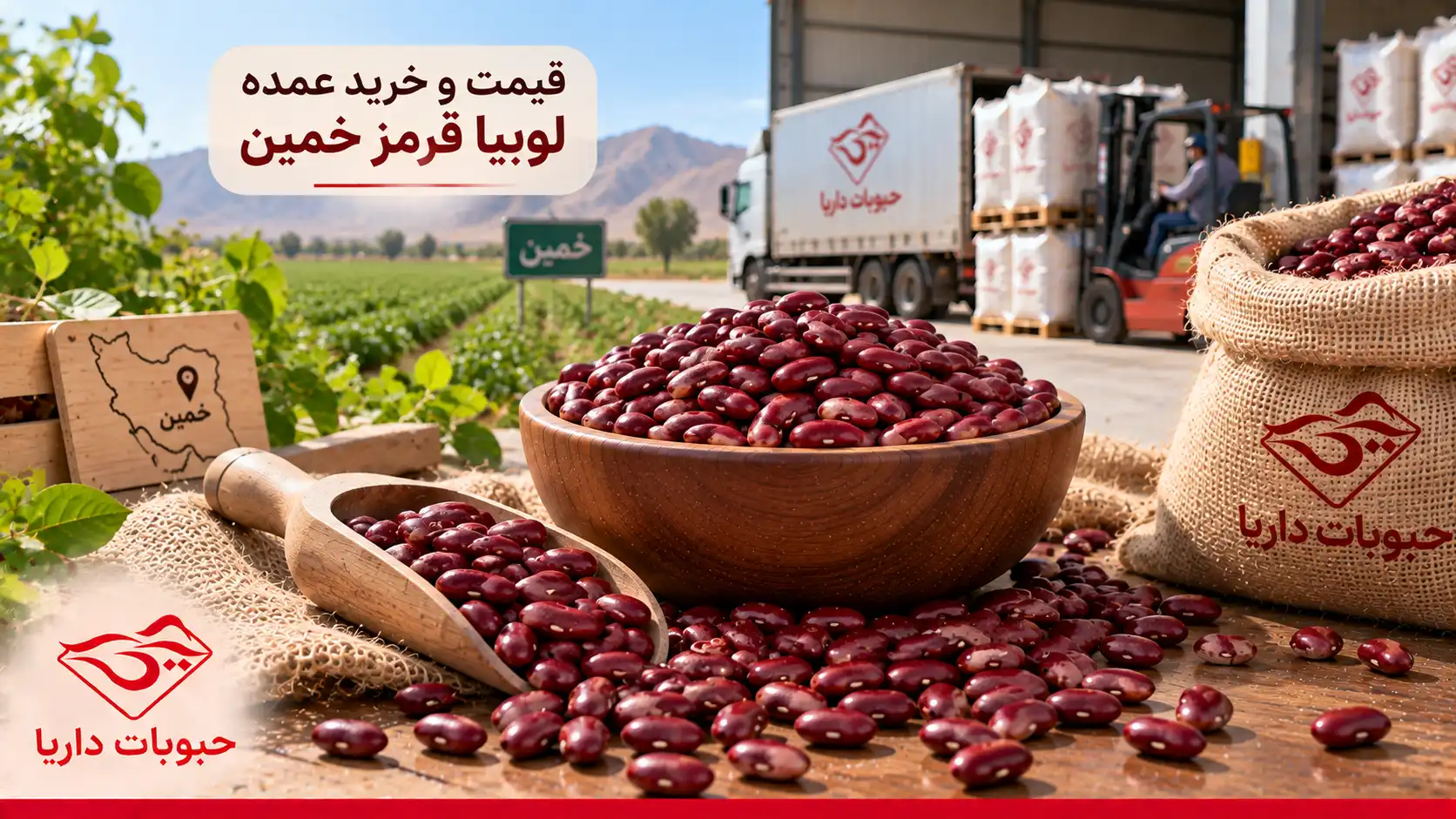 قیمت و خرید عمده لوبیا قرمز خمین
