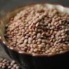 عدس سنگی